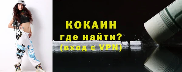 МДПВ Гусев