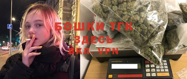 spice Дмитриев