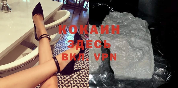 spice Дмитриев