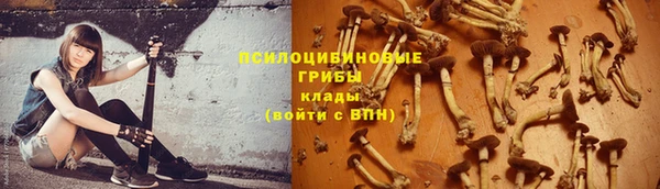 МДПВ Гусев