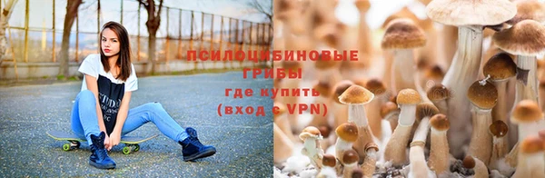 дмт Гусиноозёрск