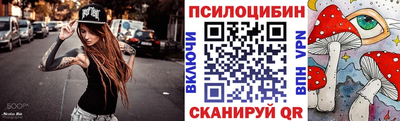 купить закладку  Каргат  Псилоцибиновые грибы GOLDEN TEACHER 